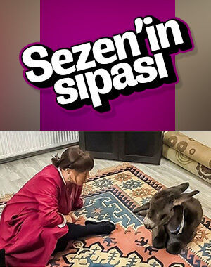 Sezen Aksu sıpasıyla poz verdi